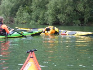 Training für Langbootfahrer @ Bootshaus